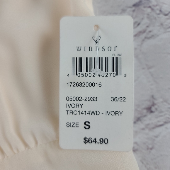 Windsor Size Small Kaylee Formal Chiffon Lace-Up Long Dress  Cream NEW - Picture 11 of 11